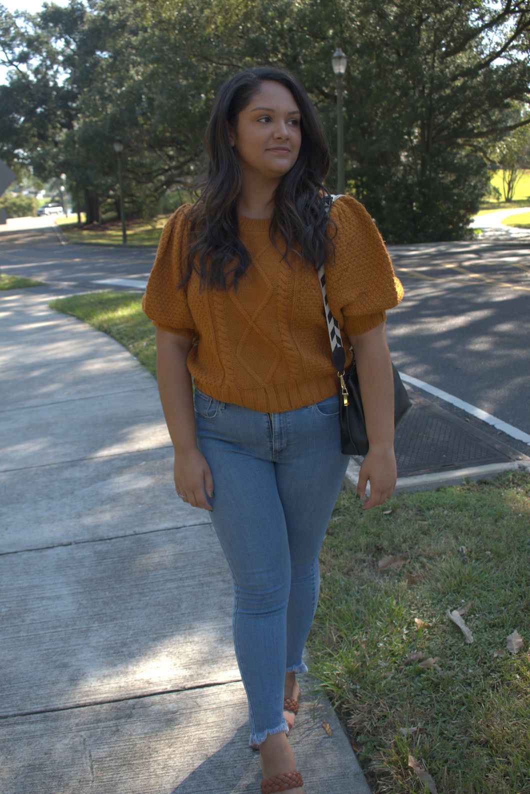 Short Sleeve Chunky Knit Sweater